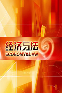 经济与法2012