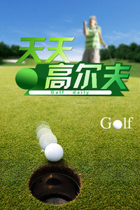 天天高尔夫2013