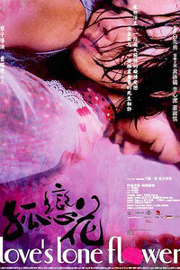 孤恋花2005