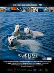 北极熊一个夏天的奥德赛