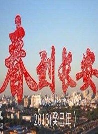 2013陕西卫视“春到长安”春节联欢晚会
