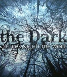 黑暗中的自然界