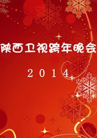 2014陕西卫视跨年晚会